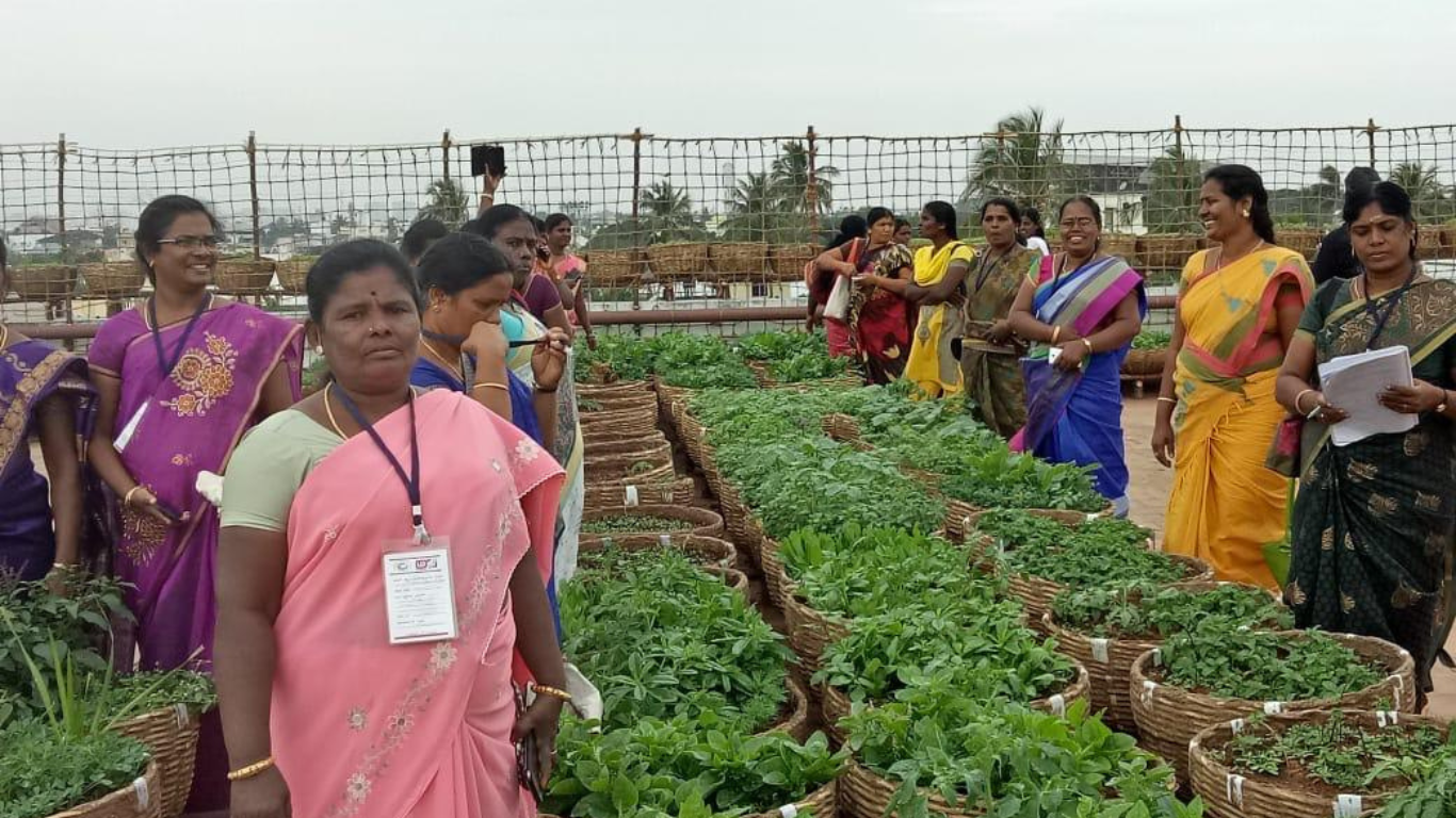 8_20241217_142939_0006